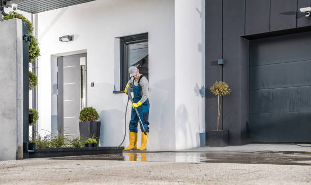 Best Solar Panel Cleaning  in Port Reading, NJ